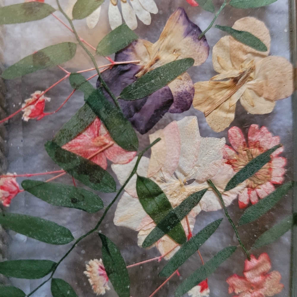 Amazing Pressed Flowers Beveled Glass Jewelry/Trinket Box - Picture 9 of 16